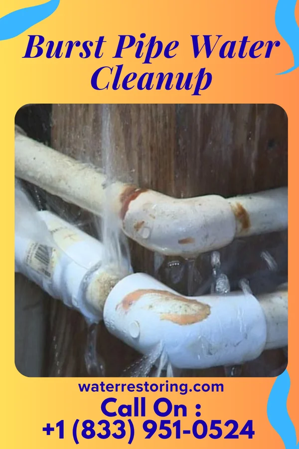 Burst Pipe Water Cleanup in Oakdale, NE