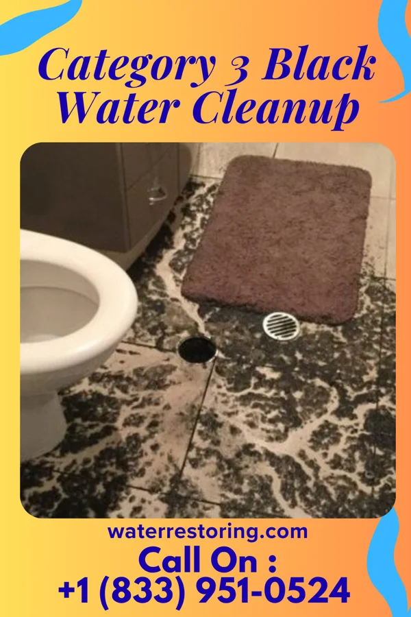 Category 3 Black Water Cleanup in Oakdale, NE