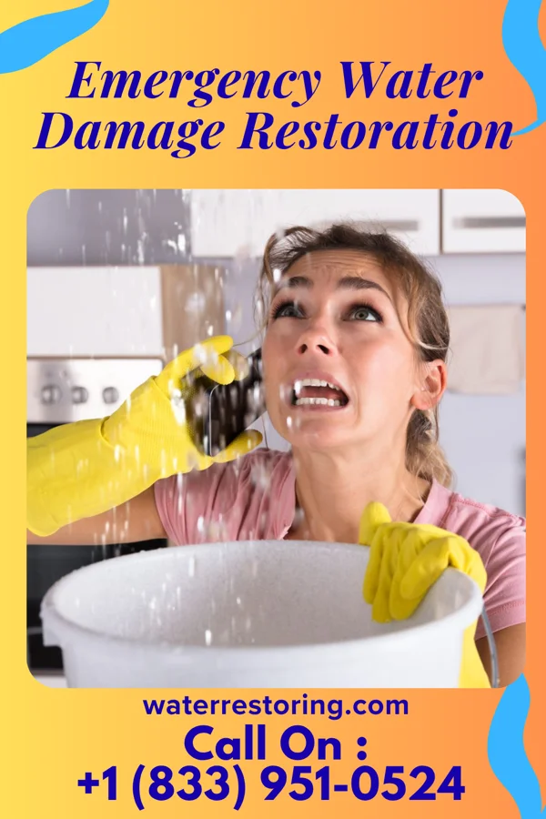 Emergency Water Damage Restoration in Oakdale, NE